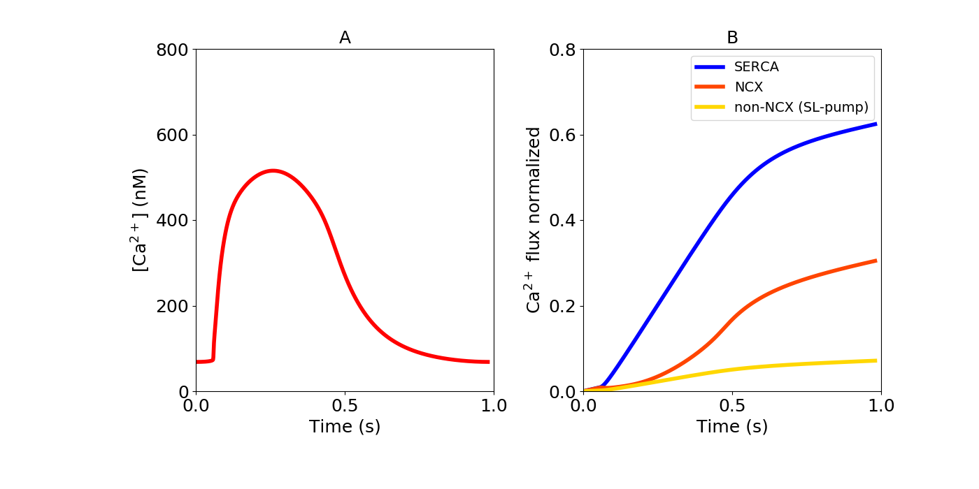 figures/Figure10_Ca.png