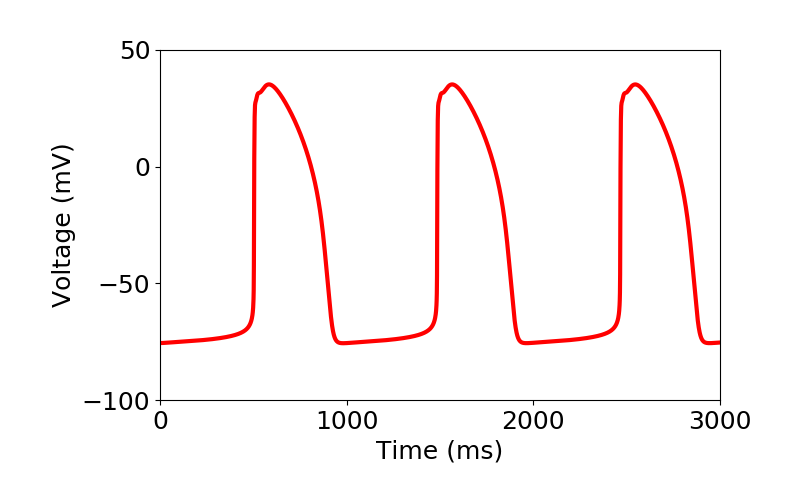 figures/Figure11_wholecell.png